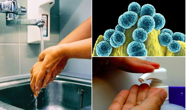 British scientists have created a tool that washes superbugs from the skin - Opening, Scientists, Bacteria, Purity