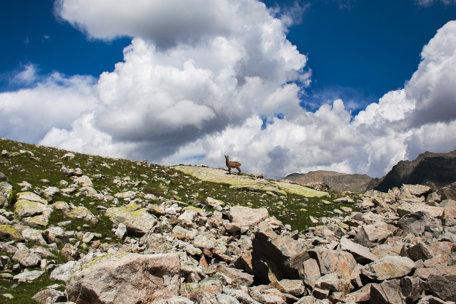 Dombay fairy tale. Hiking to the Murujinsky lakes. Caucasus - My, Hike, The mountains, Caucasus, Travel across Russia, Beautiful view, Lake, Mountain Lake, Equipment, Longpost