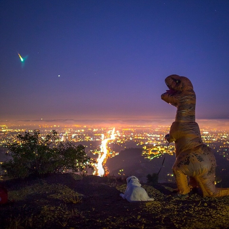 Meteorite over Los Angeles or Here we go again? - Meteorite, Dinosaurs, Dog, Los Angeles