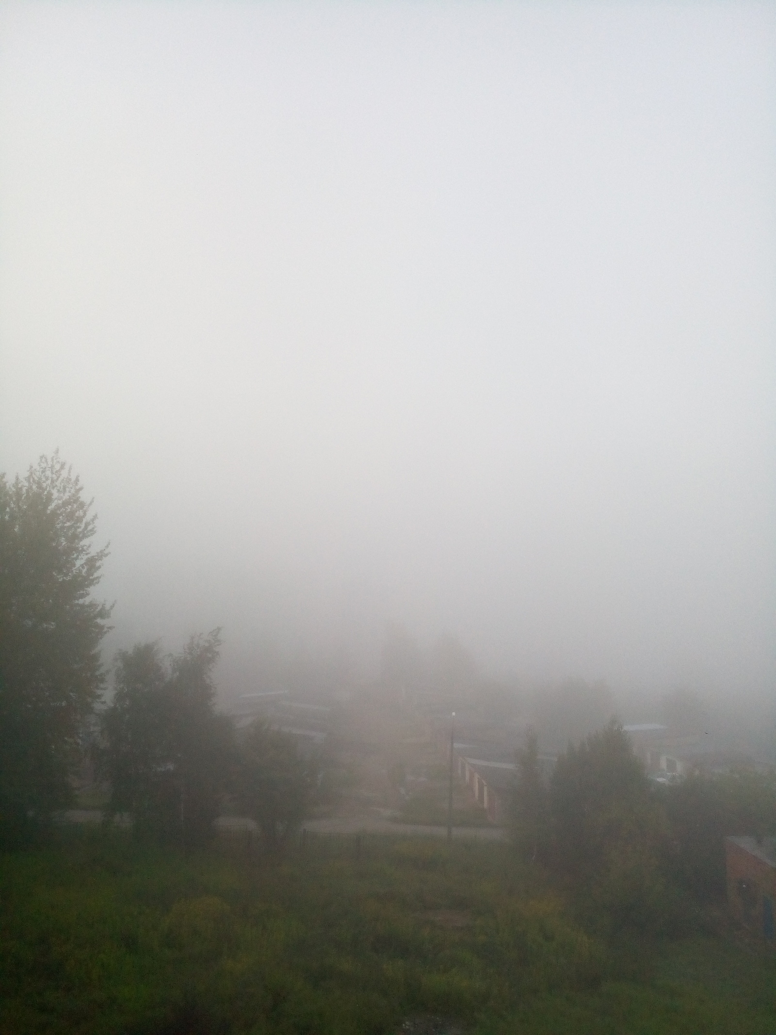 And outside the window, the events of the film The Mist are unfolding .... - My, Haze, Photo, Weather, Sergiev Posad, Fog, Longpost