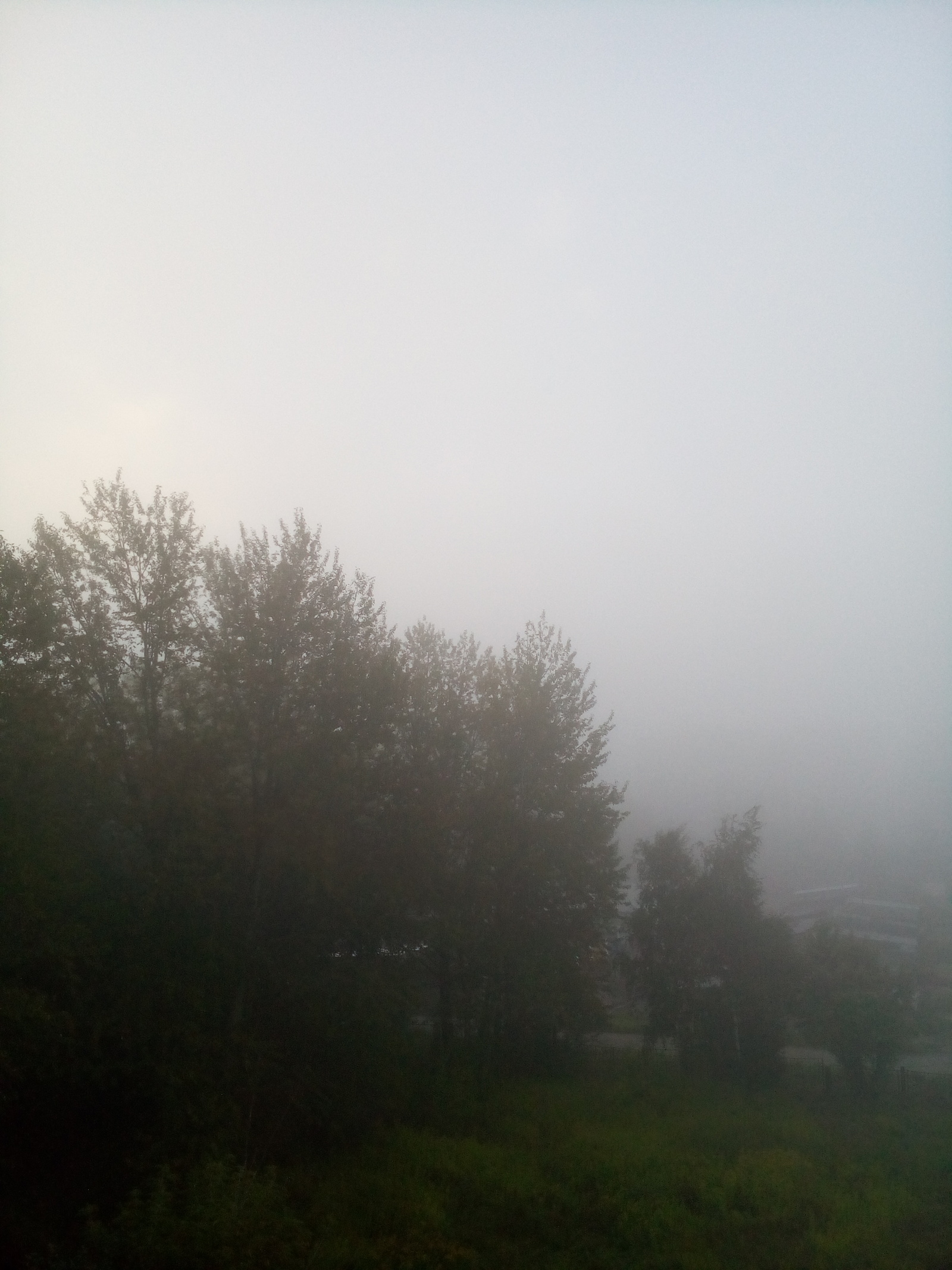 And outside the window, the events of the film The Mist are unfolding .... - My, Haze, Photo, Weather, Sergiev Posad, Fog, Longpost