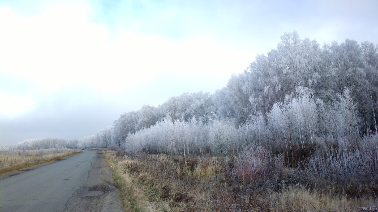 Little dacha - My, Dacha, Nature, Photo, , Longpost