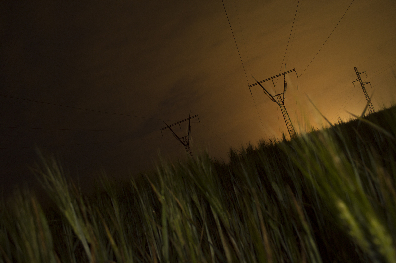 Summer night - My, Power lines, Night, Field, Wheat