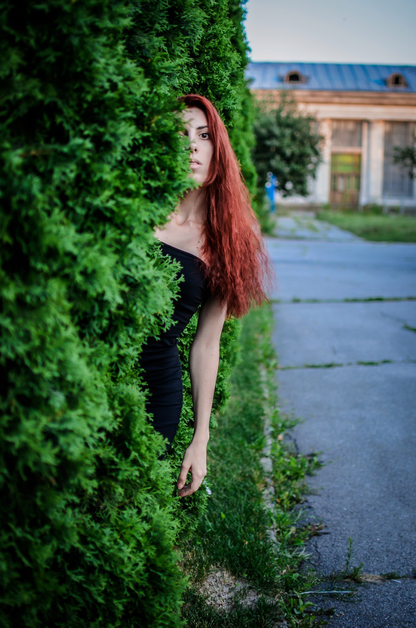 Hid - My, Photo, Summer, Redheads