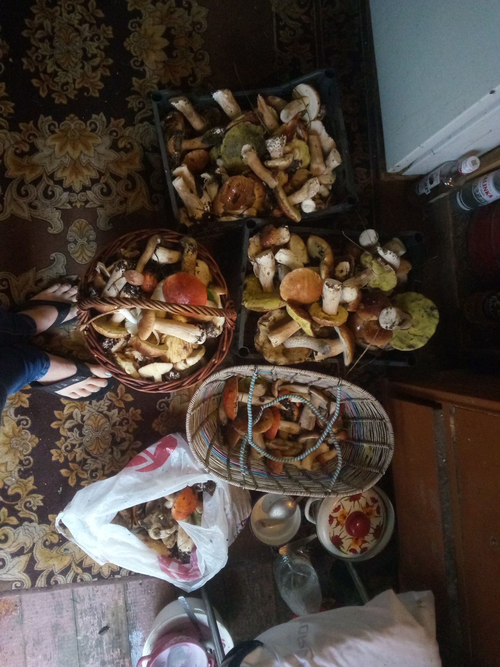 That's when the really good weekend) - My, Mushrooms, Summer