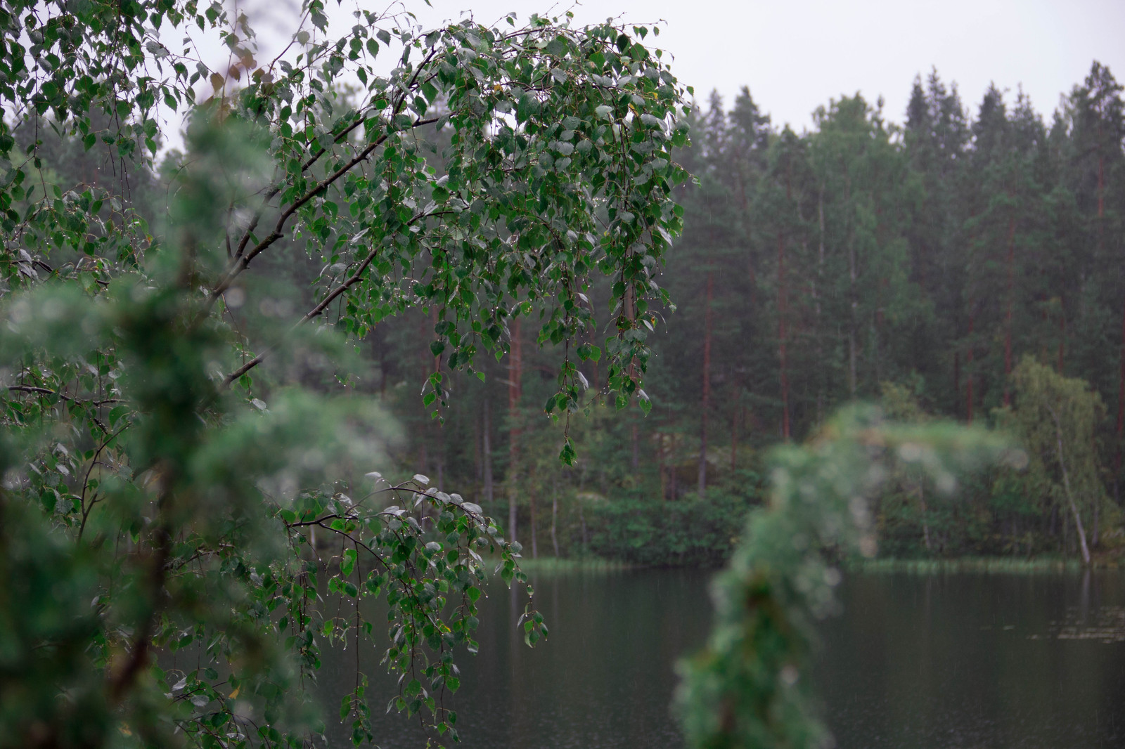 Alone with nature. - My, Nature, Lake, Карелия, , 18-135, Longpost, Canon 60d