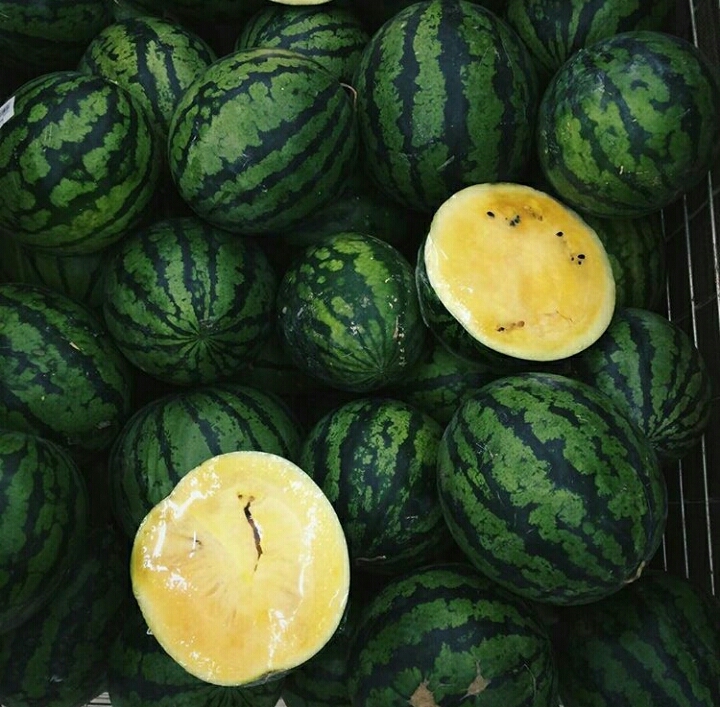 yellow watermelons - My, Watermelon, Variety, Amazing