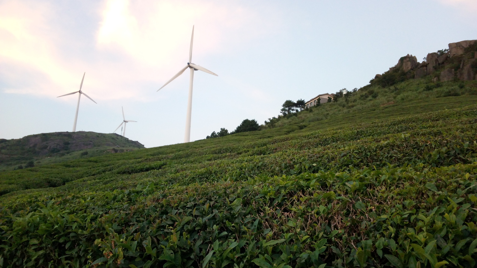 Mountains in Zhejiang province, China - My, China, The mountains, Windmill, Tea, Wind generator