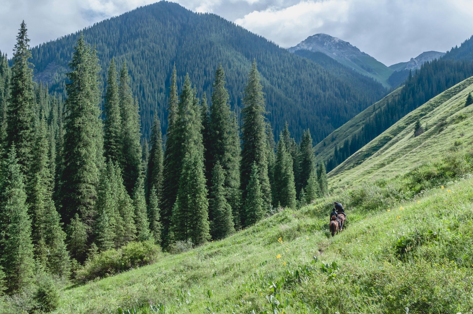 How I went to Lake Kolsai... Part 2 - My, Kazakhstan, Almaty, The photo, Photo, Nikon, Nature, The mountains, Tourism, Longpost