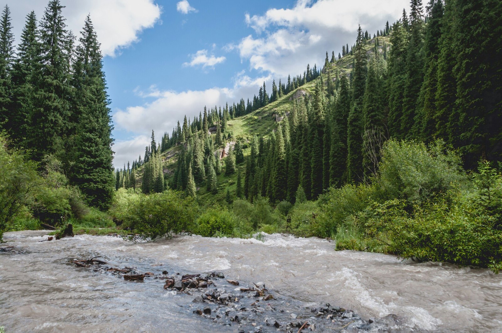 How I went to Lake Kolsai... Part 2 - My, Kazakhstan, Almaty, The photo, Photo, Nikon, Nature, The mountains, Tourism, Longpost