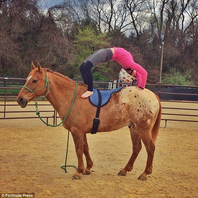 A bit of yoga - Horses, Yoga, Longpost