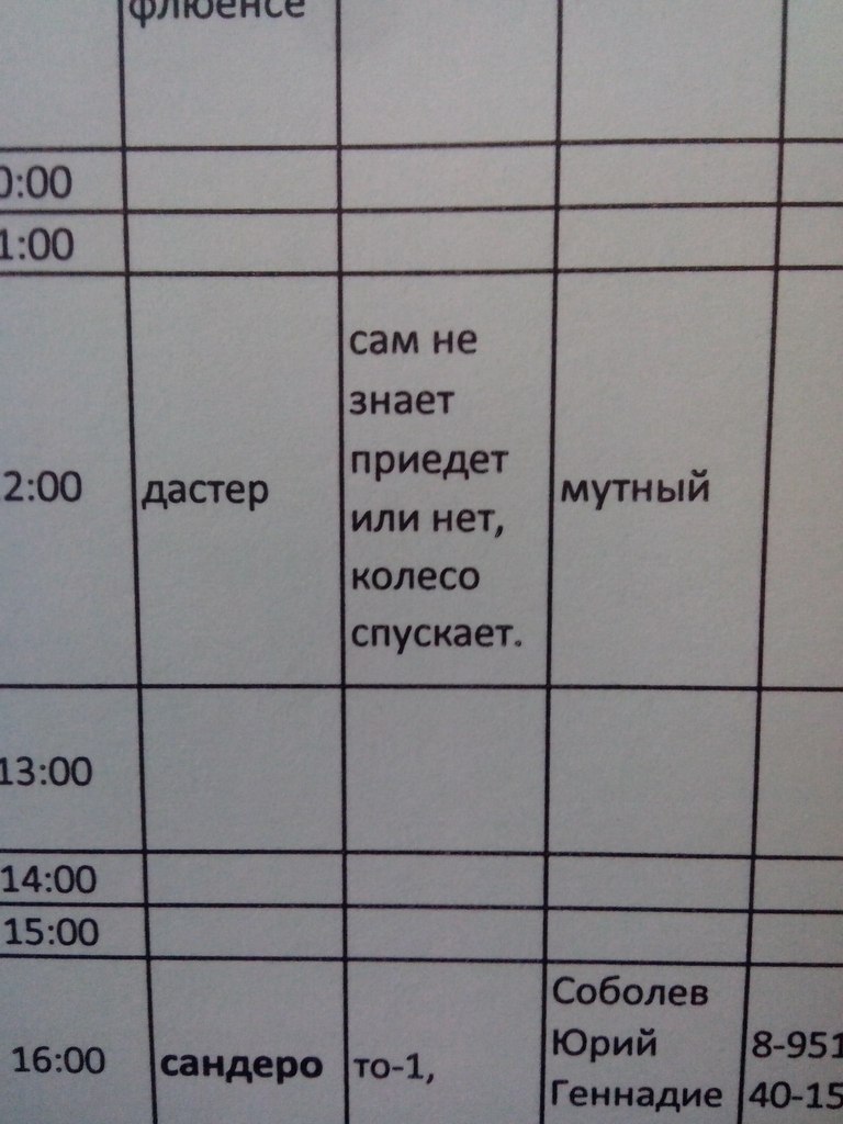 Распорядок дня | Пикабу