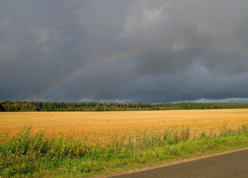 Rainbow - Rainbow, Photo