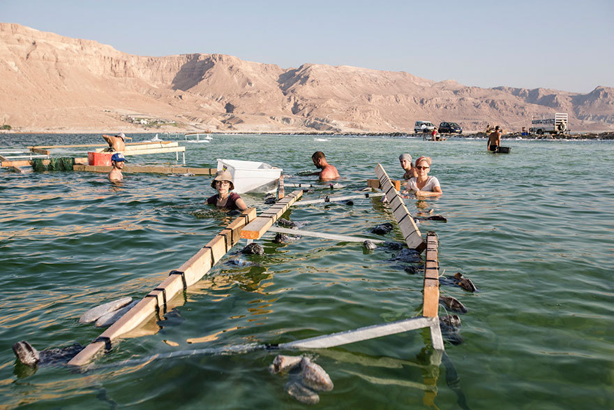 What happens to a dress if you put it in the Dead Sea for two years? - Photo, Longpost, The dress, Salt, Dead Sea, Crystals