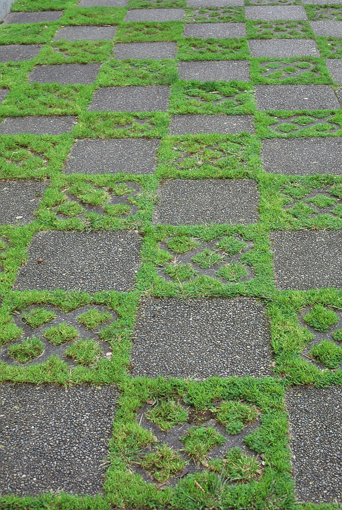 Grass - Grass, Asphalt