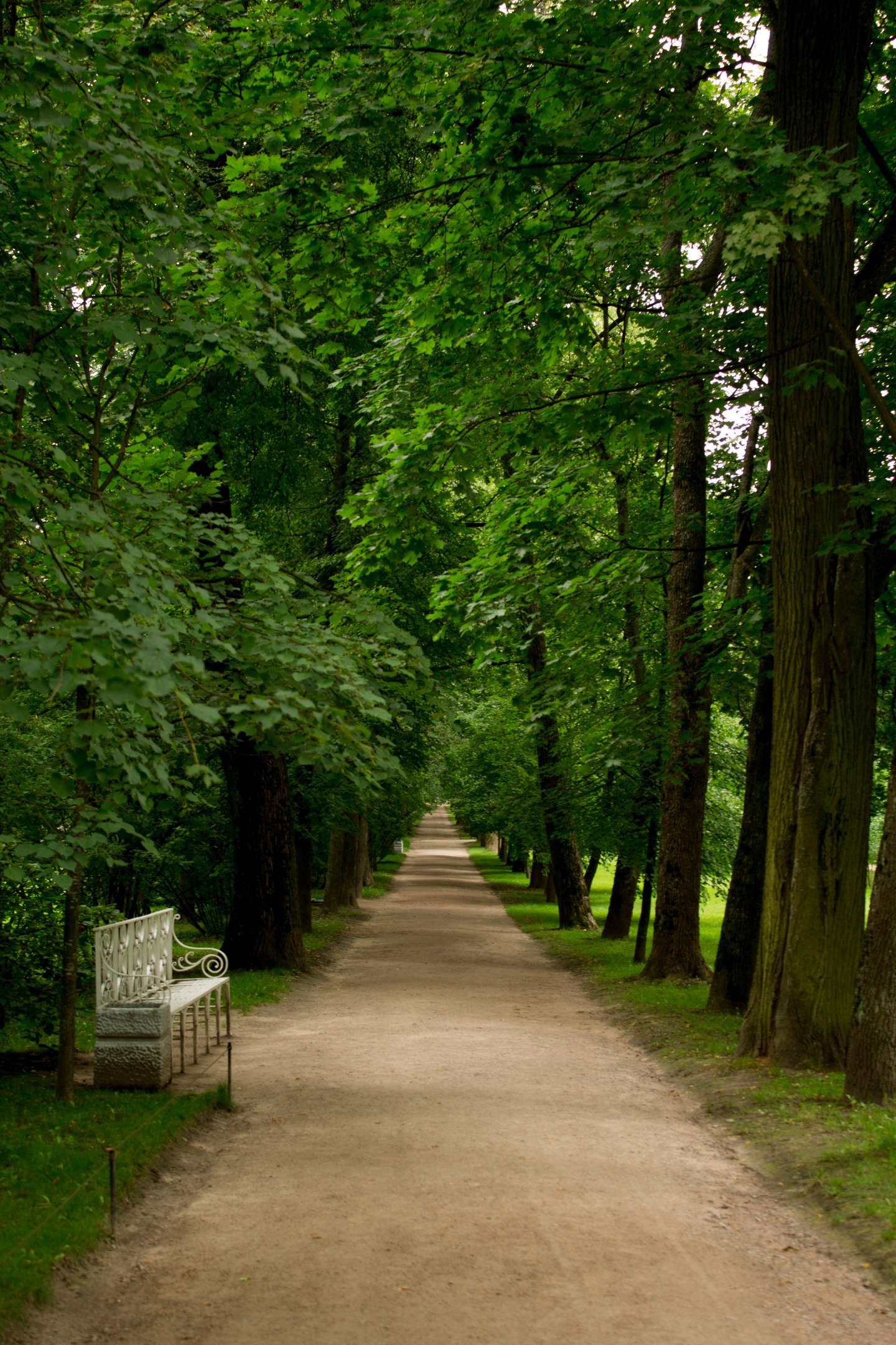 Photo - My, Photo, Pushkin, Pavlovsk