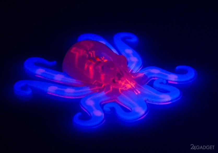 Octobot - the first soft robot - Robot, Technologies, New technologies, Video, Longpost