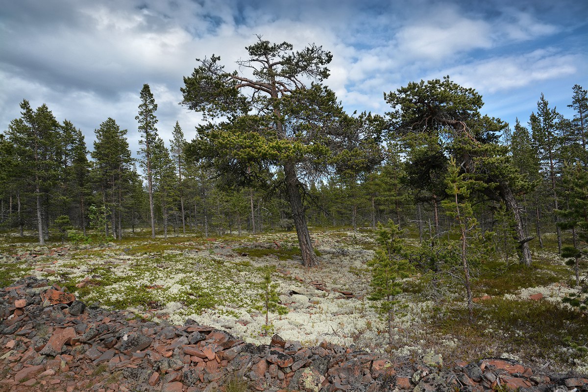 Kola Peninsula - Kola Peninsula, Russia, Photo, The photo, Nature, Go, Longpost