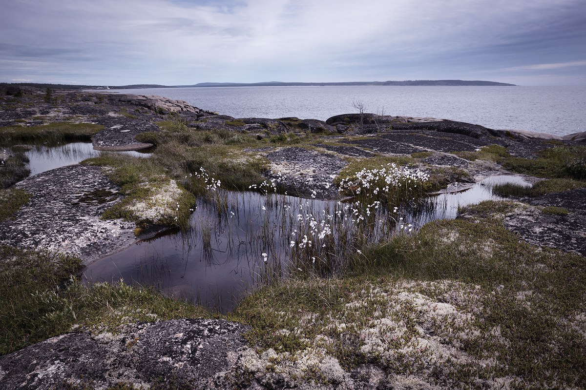 Kola Peninsula - Kola Peninsula, Russia, Photo, The photo, Nature, Go, Longpost