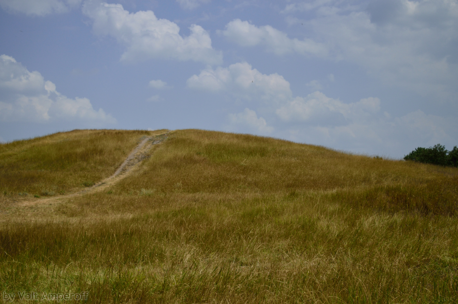 A bit of Crimea (Simferopol) - My, Photo, Crimea, Simferopol, Longpost