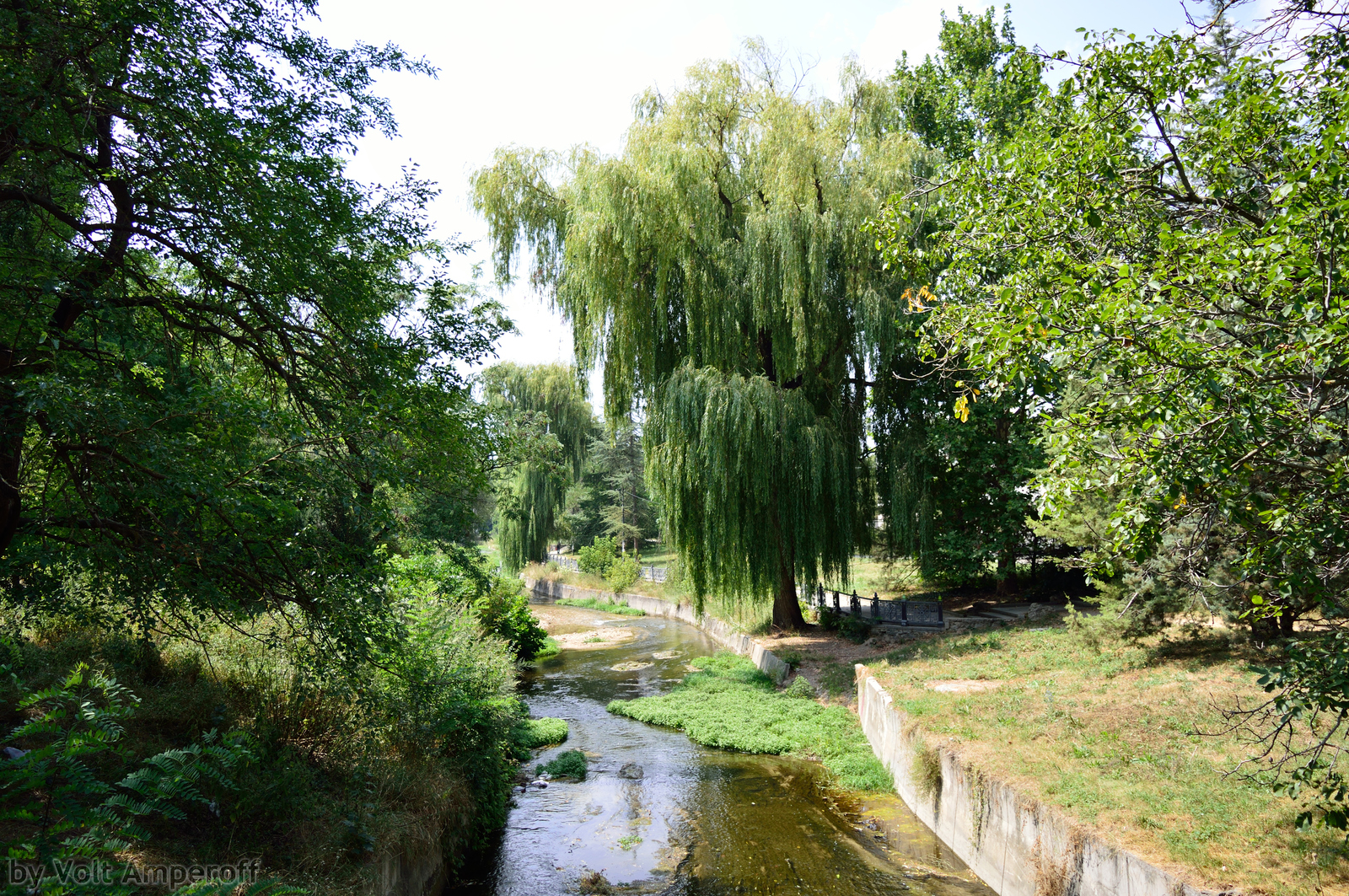 A bit of Crimea (Simferopol) - My, Photo, Crimea, Simferopol, Longpost