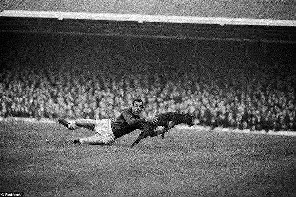 Leicester City and England goalkeeper, 1966 world champion Gordon Banks catches a dog that ran onto the field during a match, 1965. - Photo, Rare photos, Football, Goalkeeper, Dog