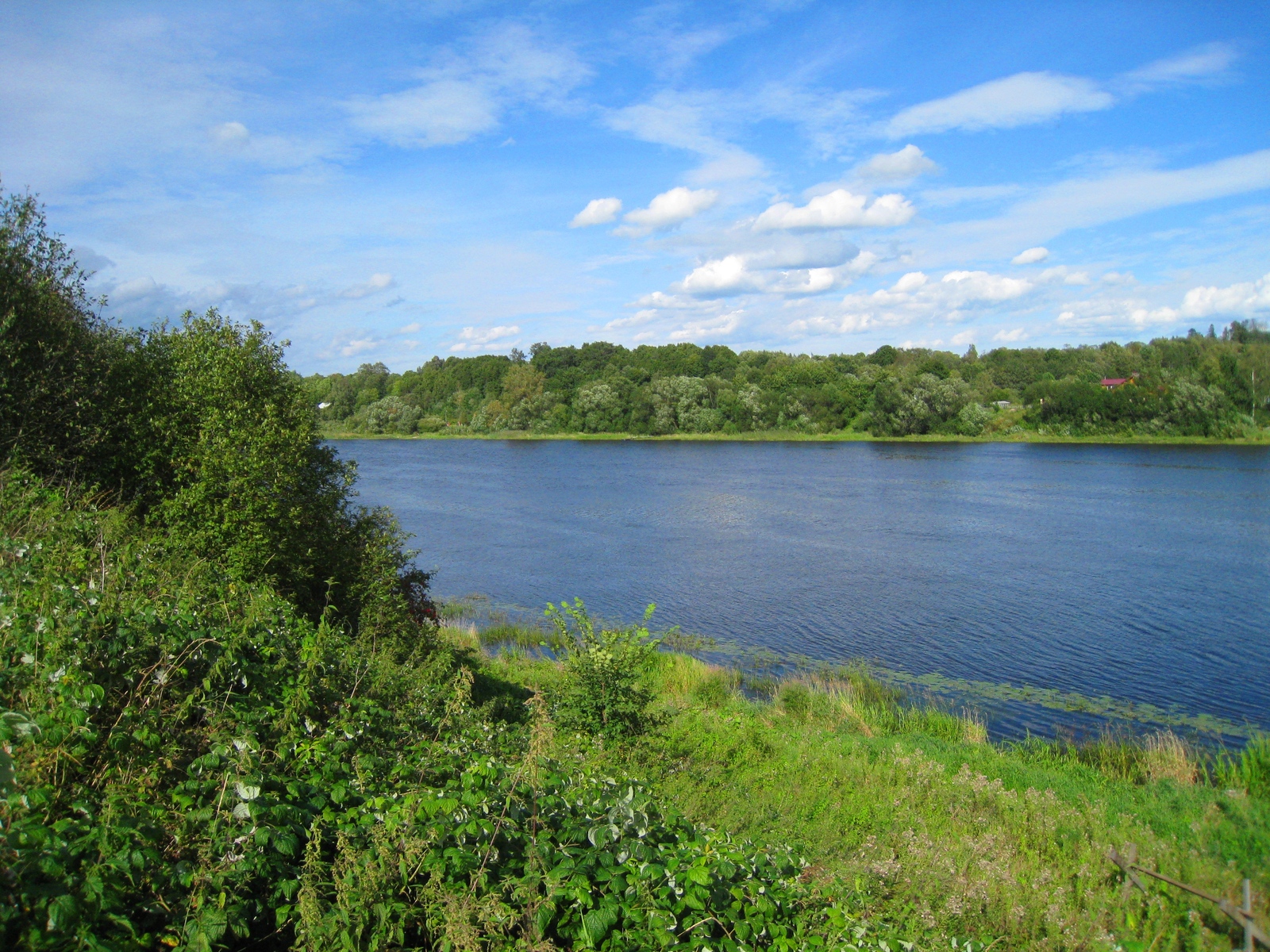 Volkhov - My, River, Volkhov River, Water, Longpost