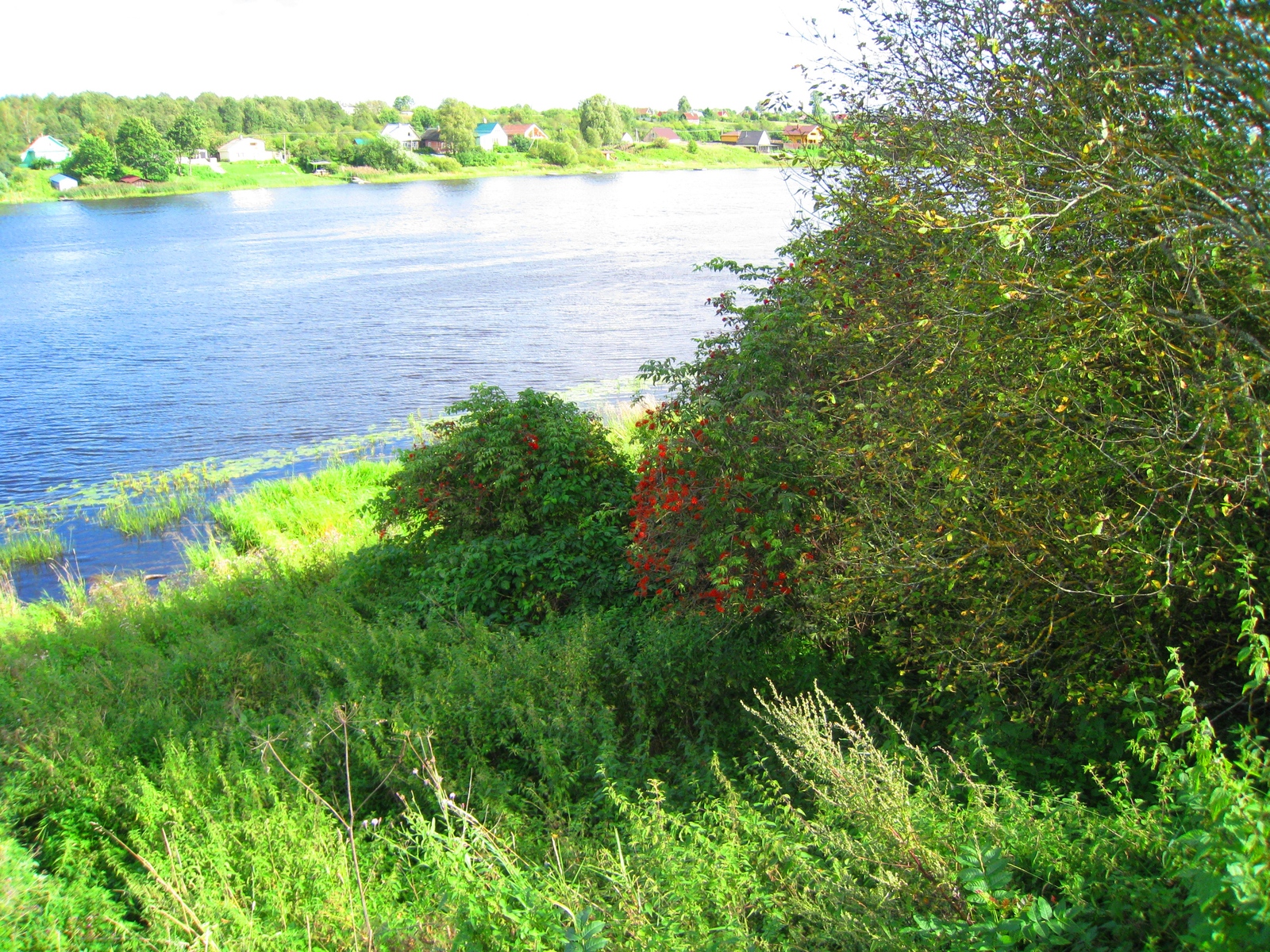 Volkhov - My, River, Volkhov River, Water, Longpost