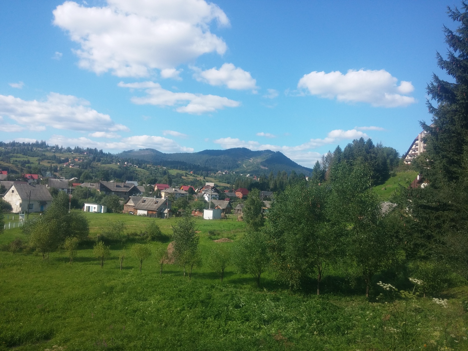 It's so lucky... - My, Photo, Nature, Travels, Carpathians, Longpost