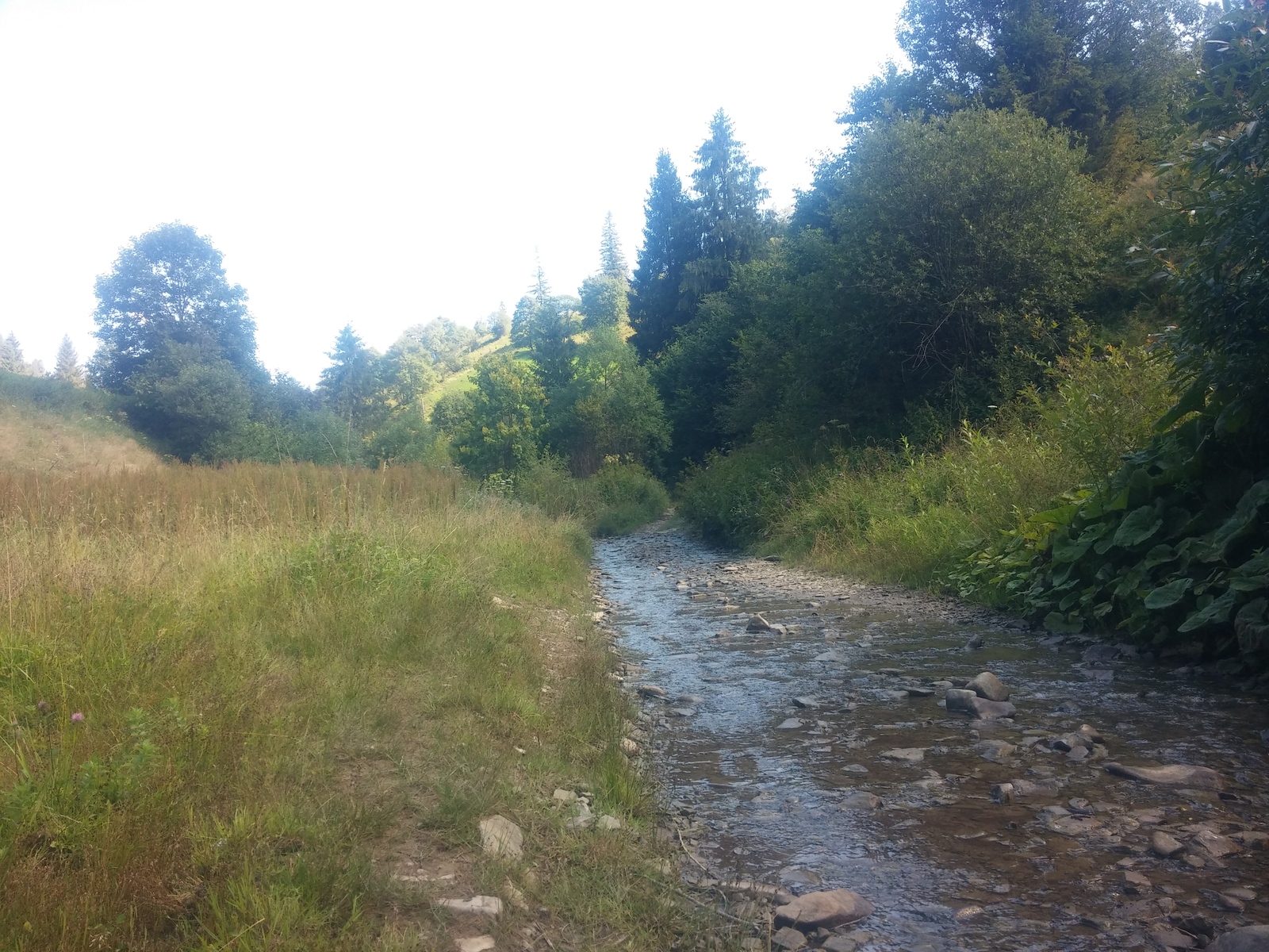 It's so lucky... - My, Photo, Nature, Travels, Carpathians, Longpost