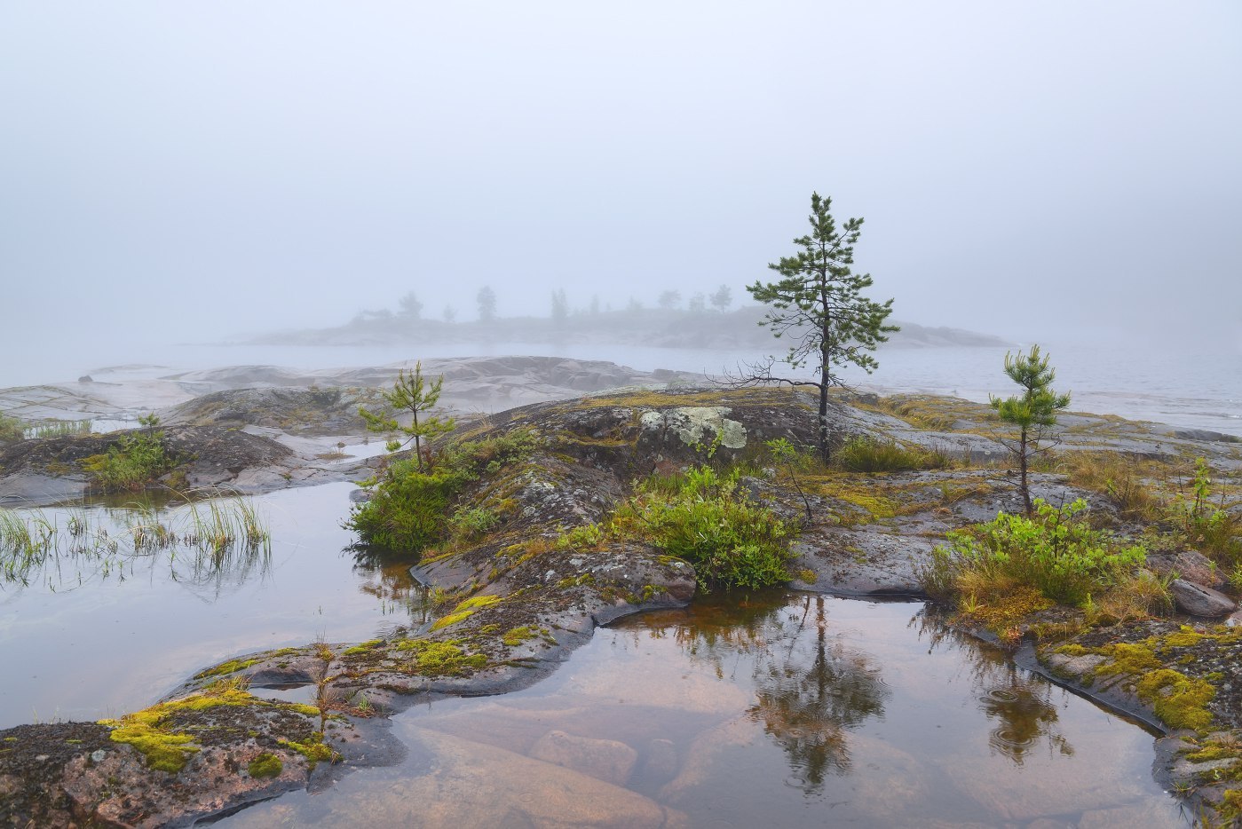 Coolness of Lake Ladoga - Ladoga lake, Карелия, , Russia, Photo, Go, Nature, Longpost