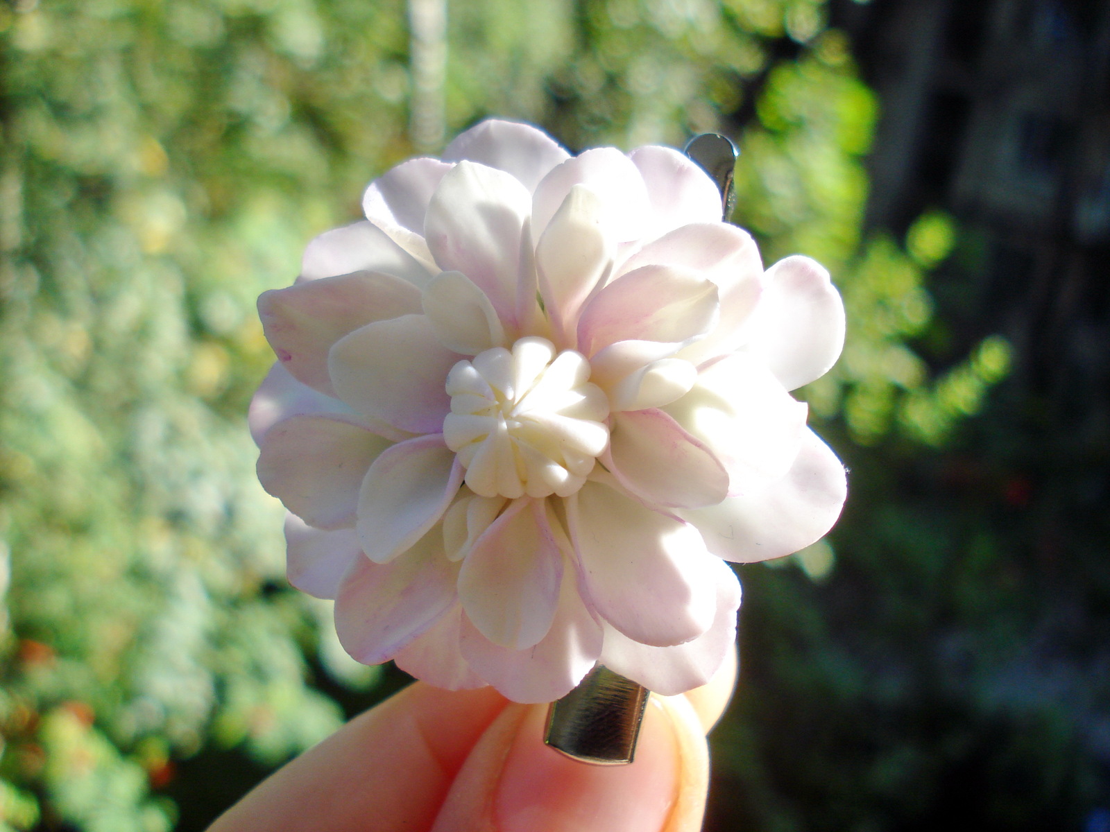 Brooch-pin - My, Polymer floristry, Dahlias, Hobby