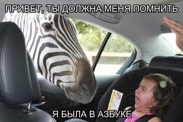 Z - zebra!) - zebra, ABC, Girl, From the network