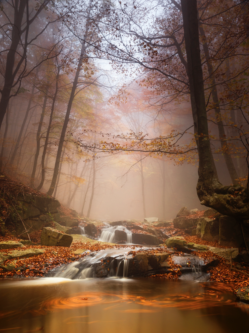 Something inspired and autumn is coming - , Autumn, Photo, From the network