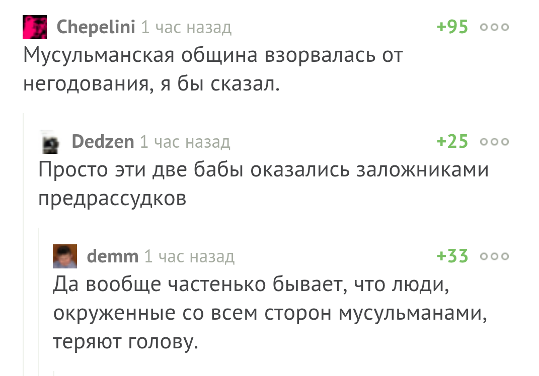 Мирная мусульманская демонстрация и стереотипы - Комментарии, Пикабу, Мусульмане, Скриншот