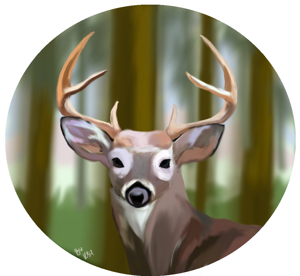 Trying to master the graphics tablet - My, Deer, Art, Drawing, Deer