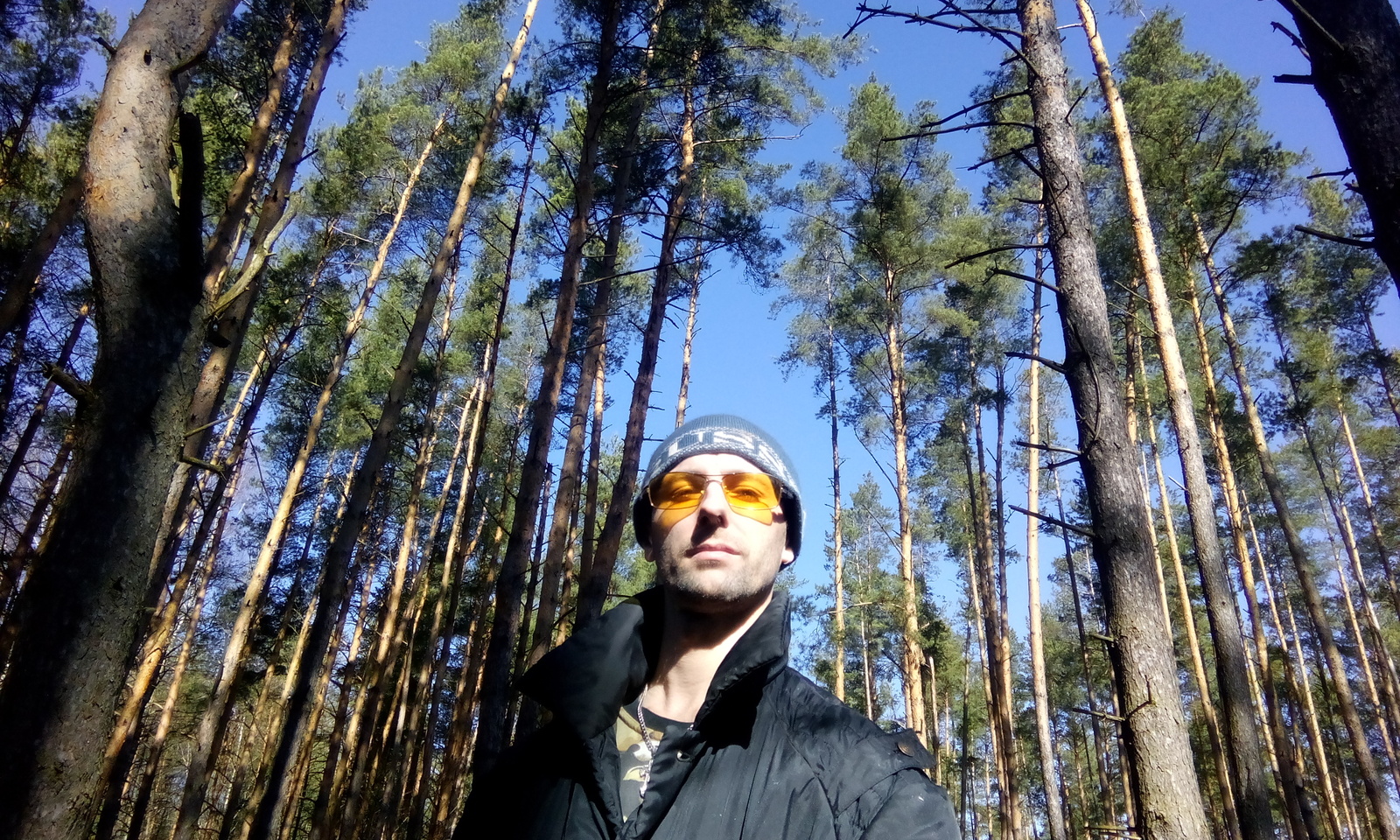 Clean air in the forest. Looking for treasures - My, The photo, , Pine, , Treasure hunt