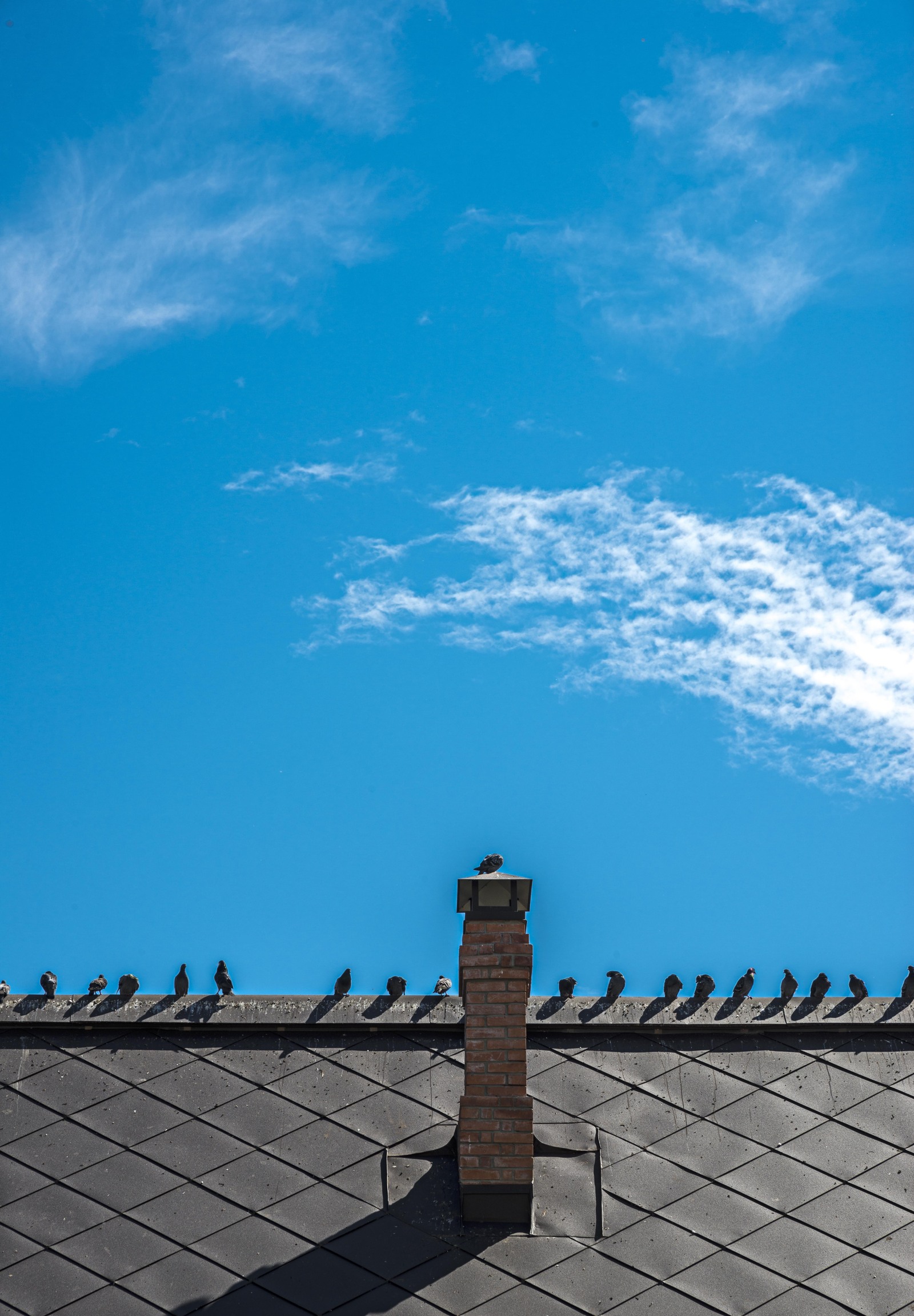 Just - My, Photo, The photo, Nikon, Just, Minimalism, Birds, Architecture, Russia, Longpost