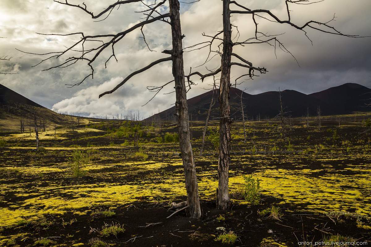 Kamchatka. - Kamchatka, The photo, Nature, Volcano, Longpost, beauty, Not mine