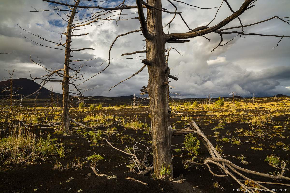 Kamchatka. - Kamchatka, The photo, Nature, Volcano, Longpost, beauty, Not mine