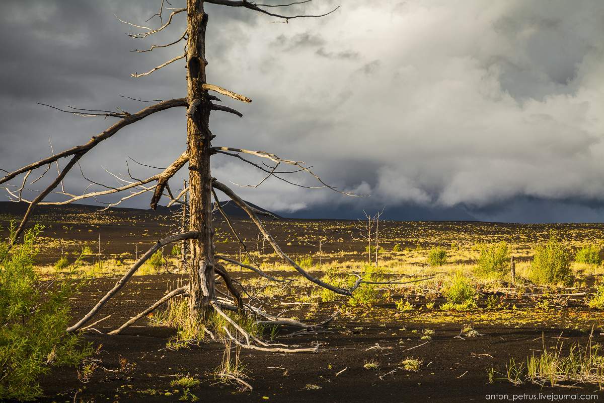 Kamchatka. - Kamchatka, The photo, Nature, Volcano, Longpost, beauty, Not mine