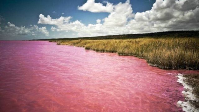 Unusual lake. - Altai, raspberry lake, The nature of Russia, Longpost, Altai Republic