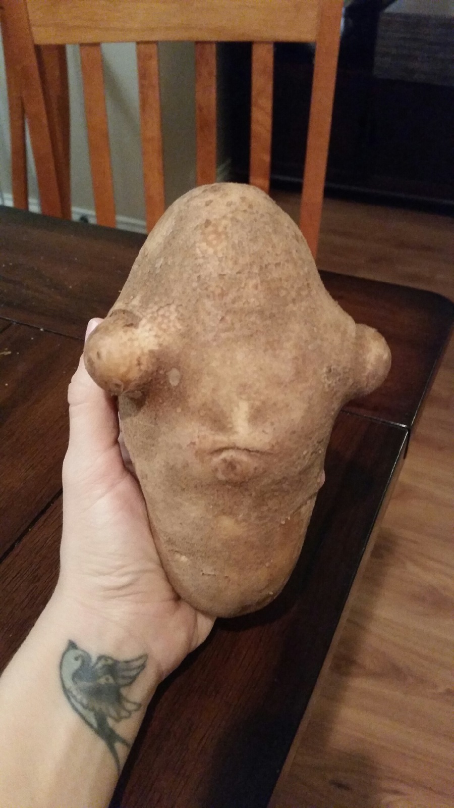 This potato reminds me of someone... - Potato, Admiral Akbar, Photo, Humor