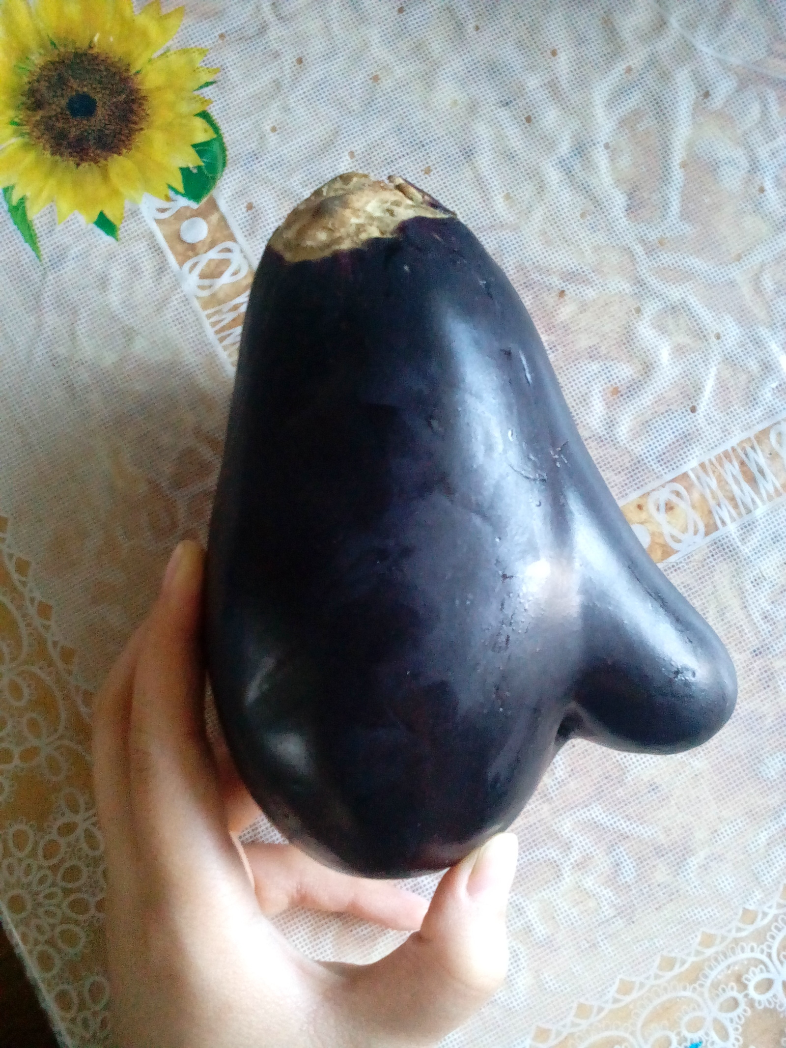 I named him Armand. - My, Eggplant, Vegetables, Mutant, Nosy