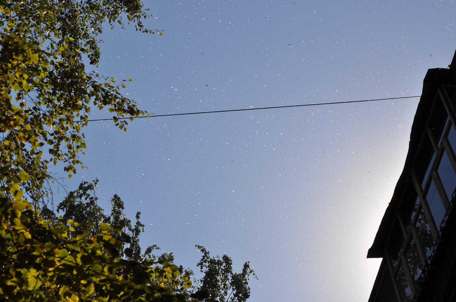 Starry sky during the day - My, Photo, Stars, Nikon, Stars