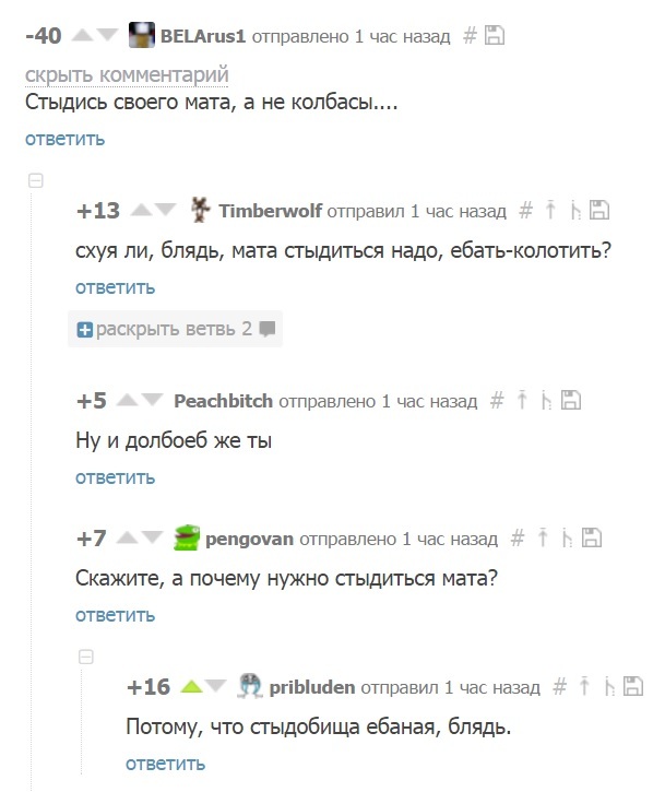 Стыд в комментариях на пикабу - Пикабу, Комментарии, Стыд, Мат