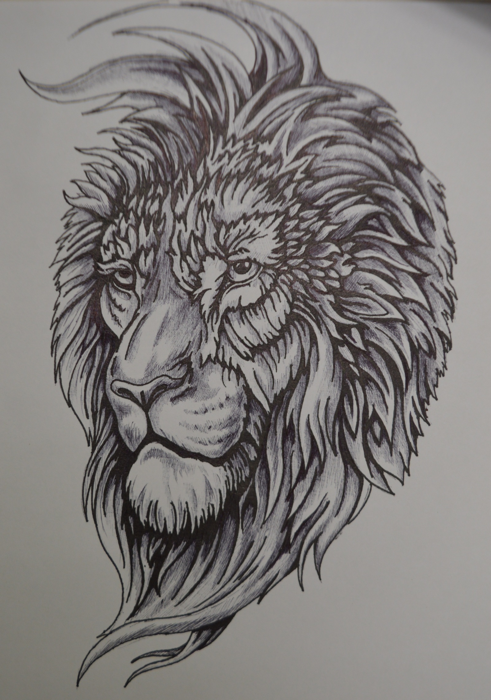 Lyova - My, a lion, Pen drawing, Paint, Black pen, Longpost