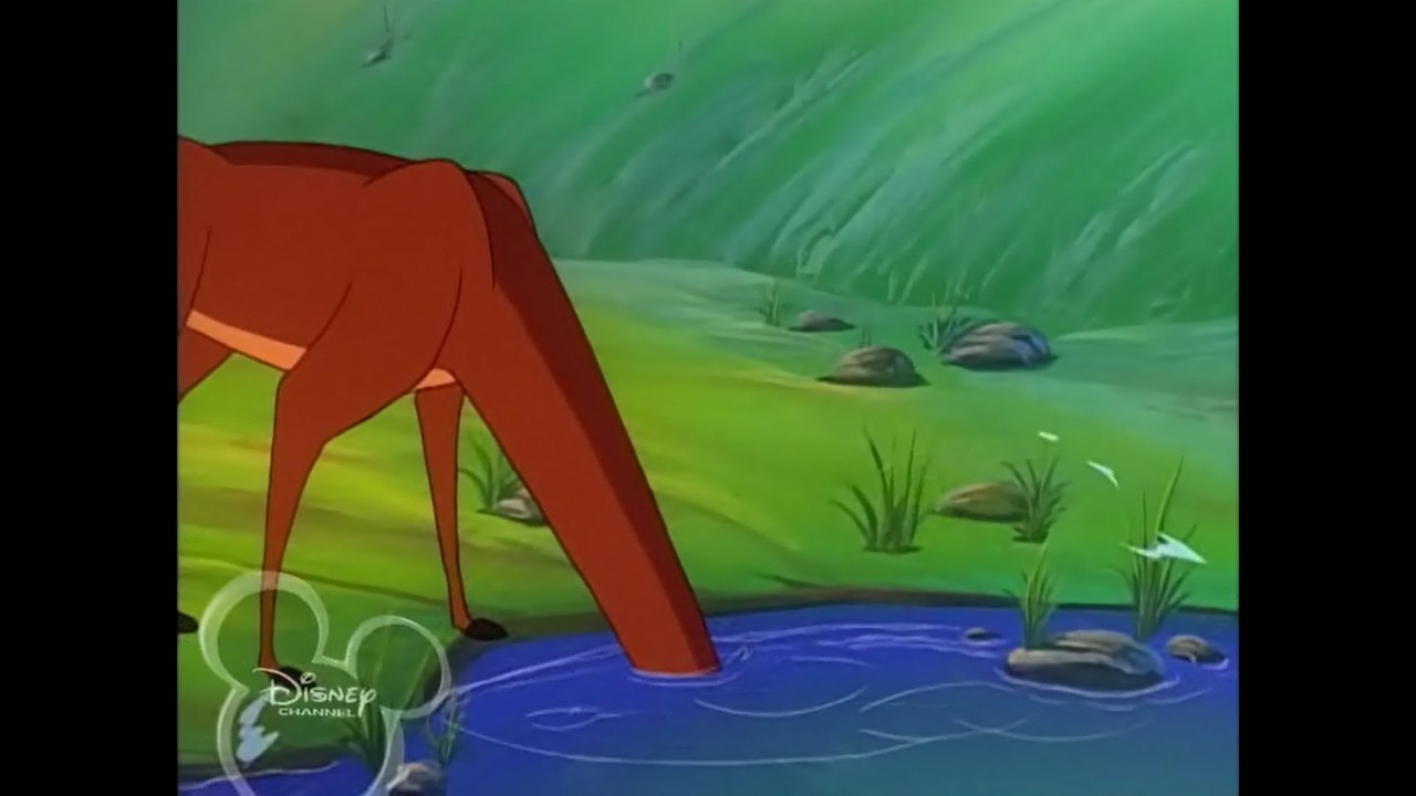 Truth in cartoons - Timon and Pumbaa, Screenshot, TRUE