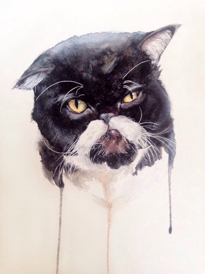 Friday cat - My, Watercolor, Watercolor drawing, cat, Portrait
