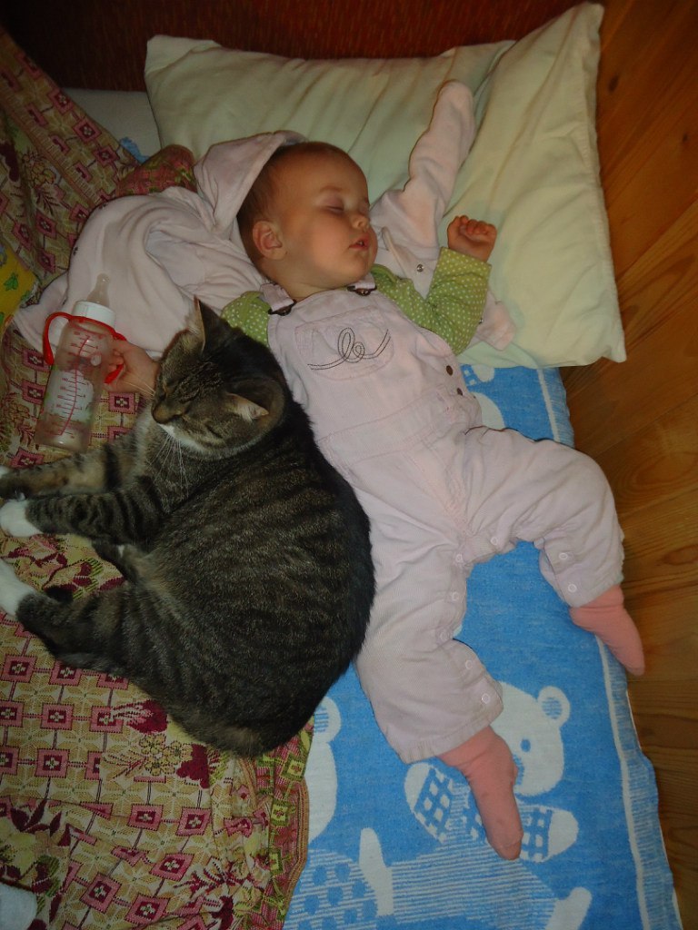 Friendship from the cradle - My, , cat, Children, friendship, Longpost